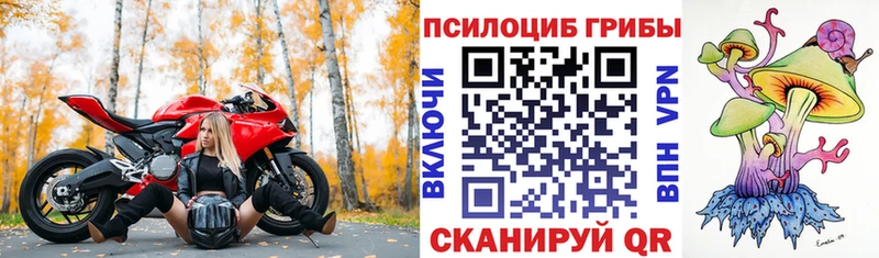 Псилоцибиновые грибы Psilocybe  Купить где  Лихославль 